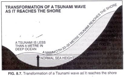 Transformation of a Tsunami wave as it reaches the shore