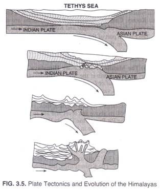 Plate Tectonics and Evolution of hte Himalayas