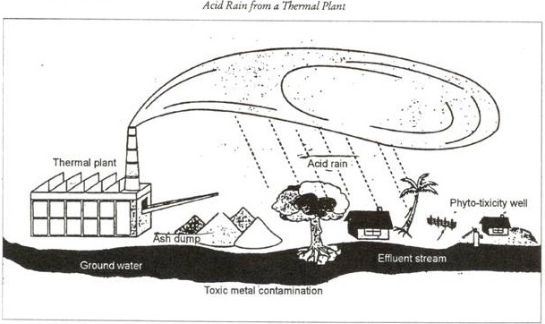 Acid Rain from a Thermal Plant