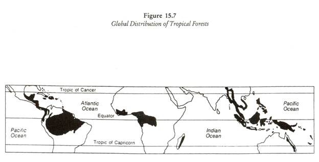 Global Distribution of Trophical Forests