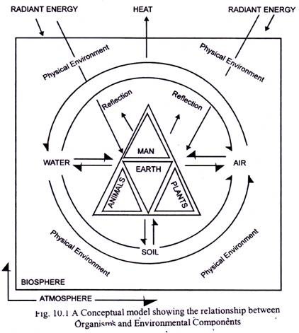 A Conceptual Model showing the Relationship between Organisms and Environmental Components