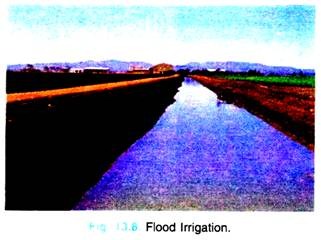 Flood Irrigation