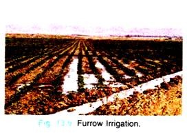 Furrow Irrigation