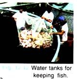Water Tanks for keeping Fish