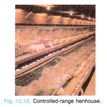 Controlled-range henhouse.